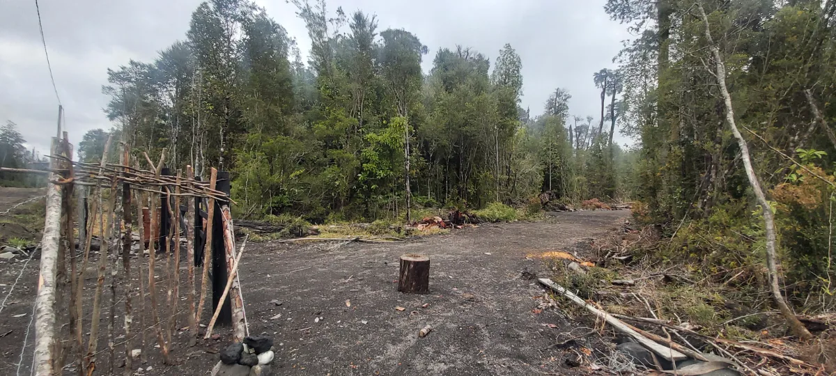 Hermosa parcela una hectarea en Puerto Varas — foto 3
