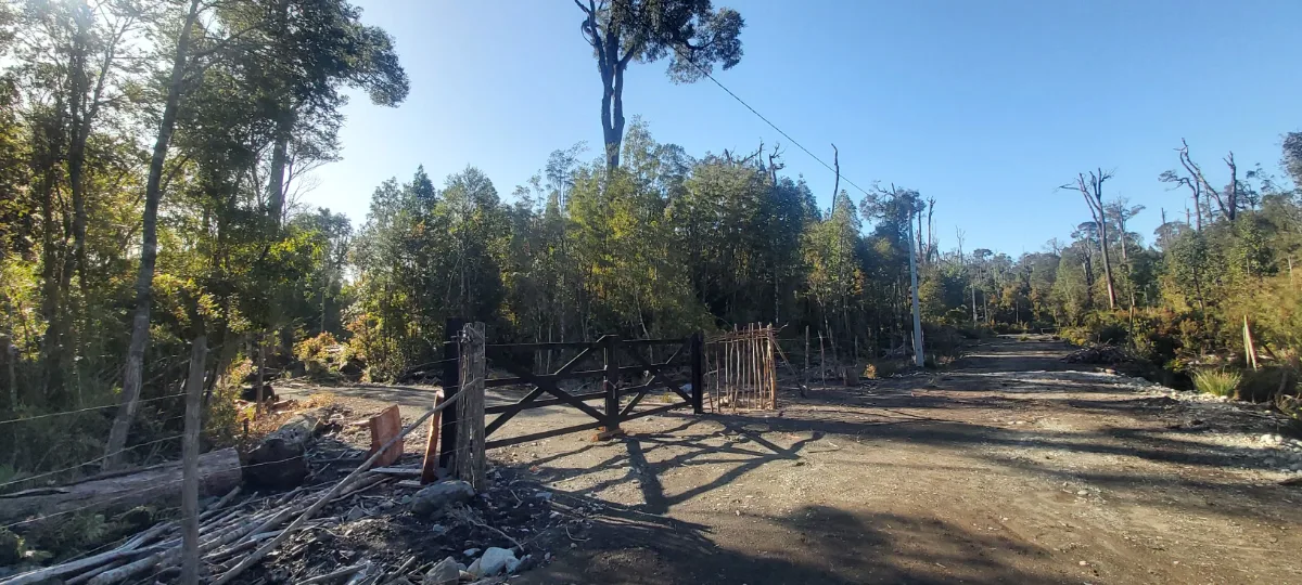 Hermosa parcela una hectarea en Puerto Varas — foto 4