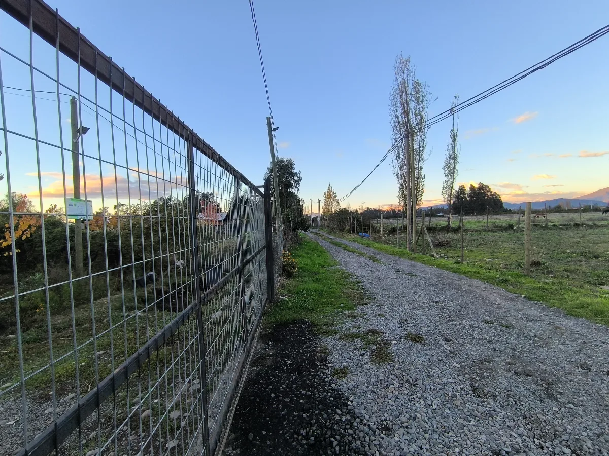 Vista 2