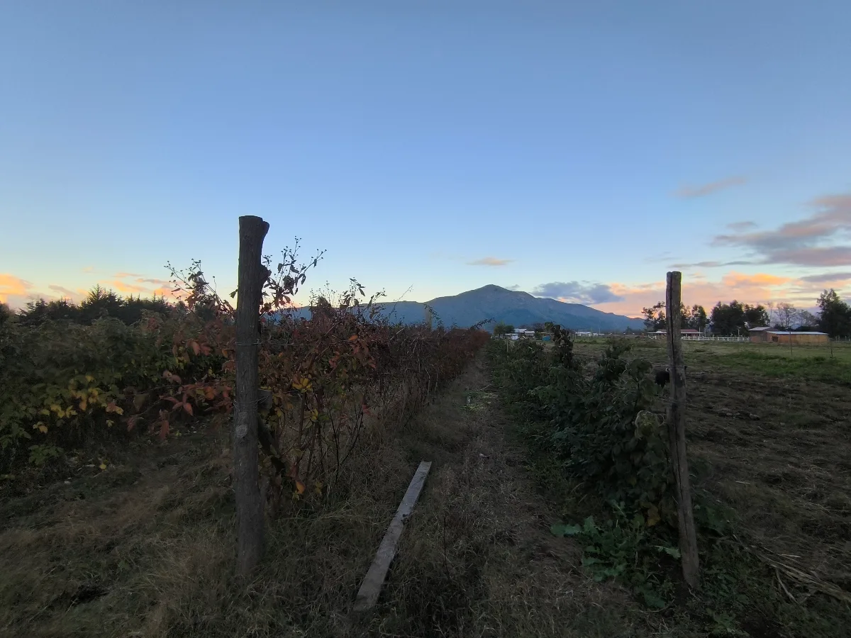 Hermosa Parcela en Molina — foto 5