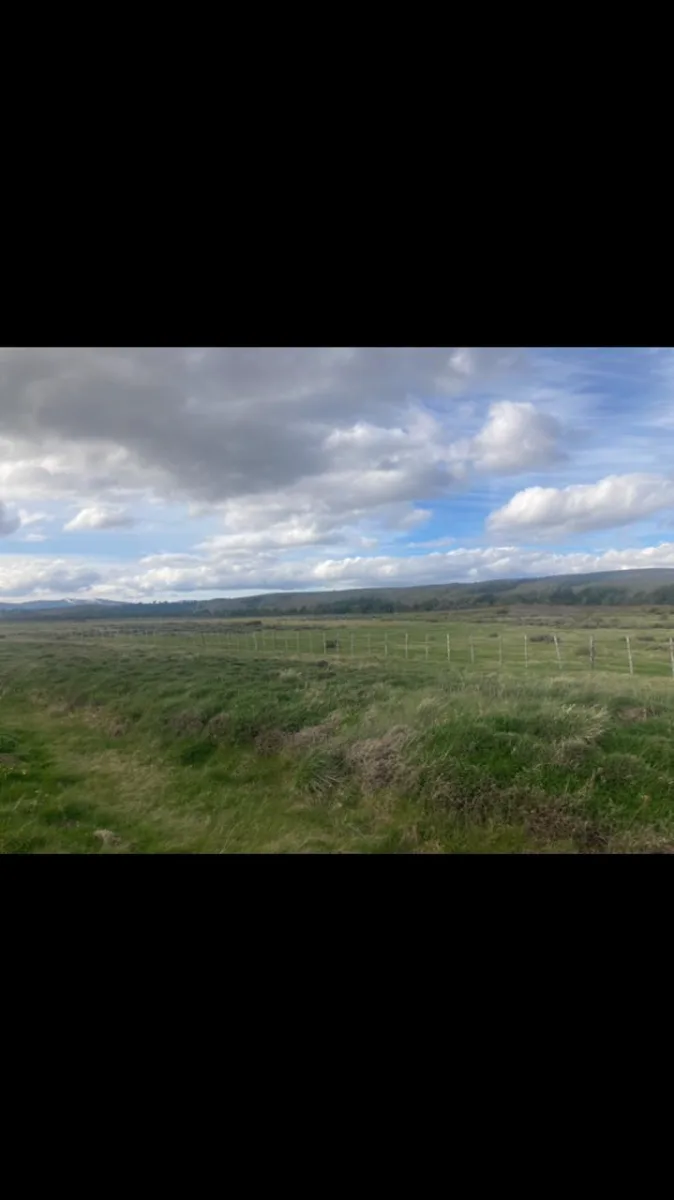 Venta Exclusiva: Terreno de 1.550 Hectáreas en Chile — foto 3