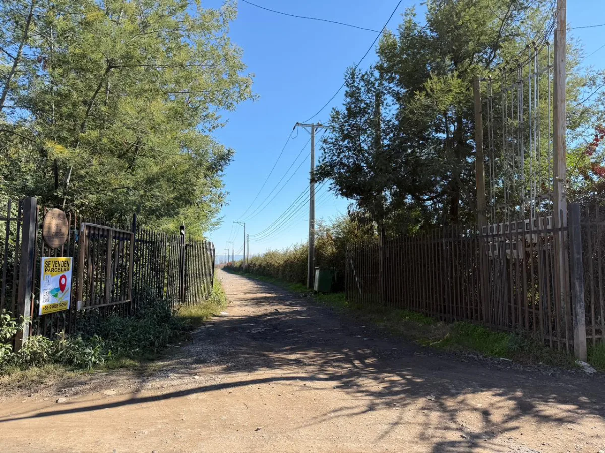 parcela de más de 5.000 m2 — foto 4
