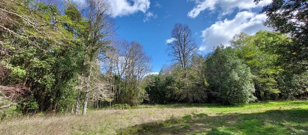 Vista 2