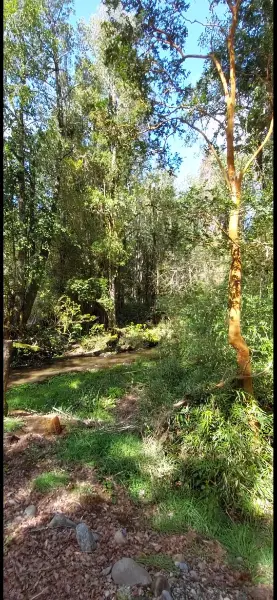 Praderas del Ranco