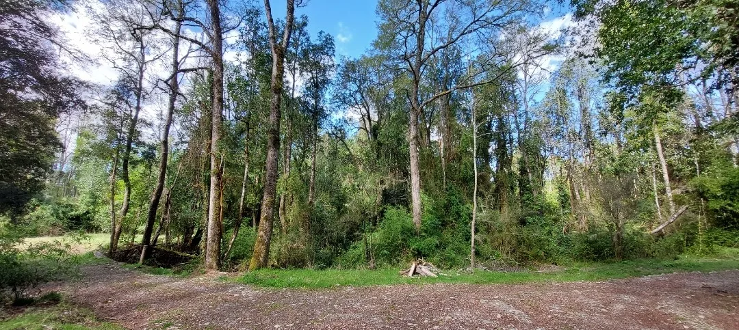 Praderas del Ranco — foto 5