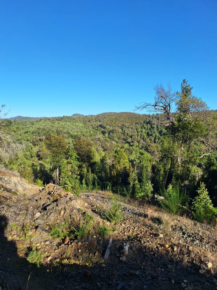 Vista 2