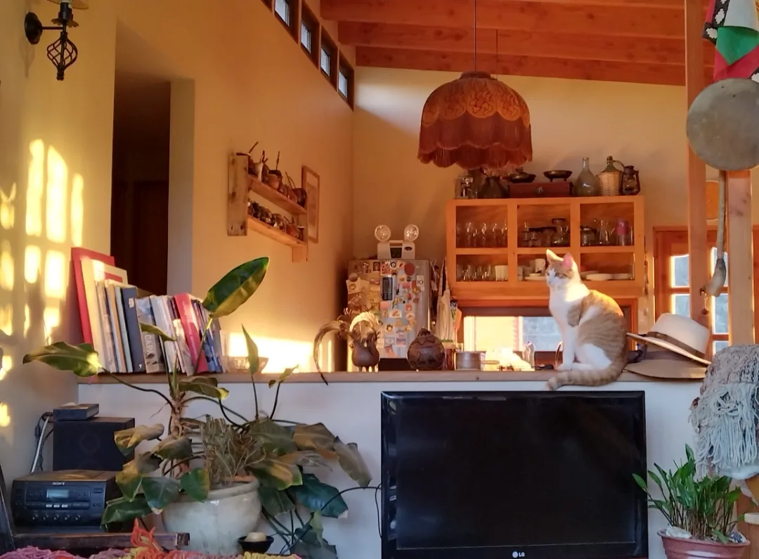 Vista 2