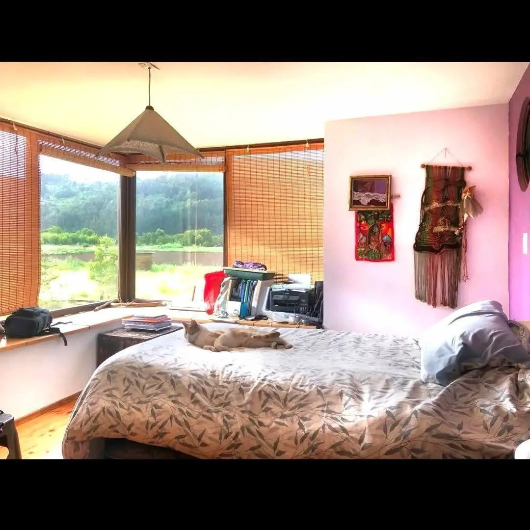 Parcela de 5000m2 con casa moderna-rústica y vista al campo — foto 4