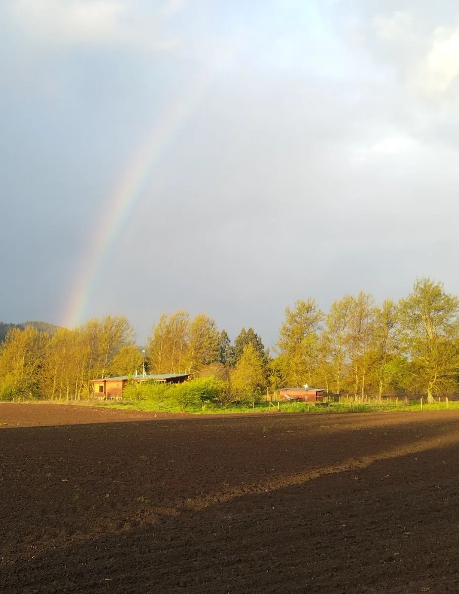 Parcela de 5000m2 con casa moderna-rústica y vista al campo — foto 5