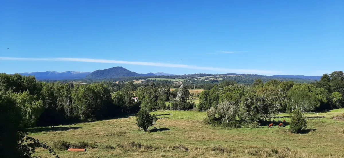 Parcela en los Ríos  — foto 4