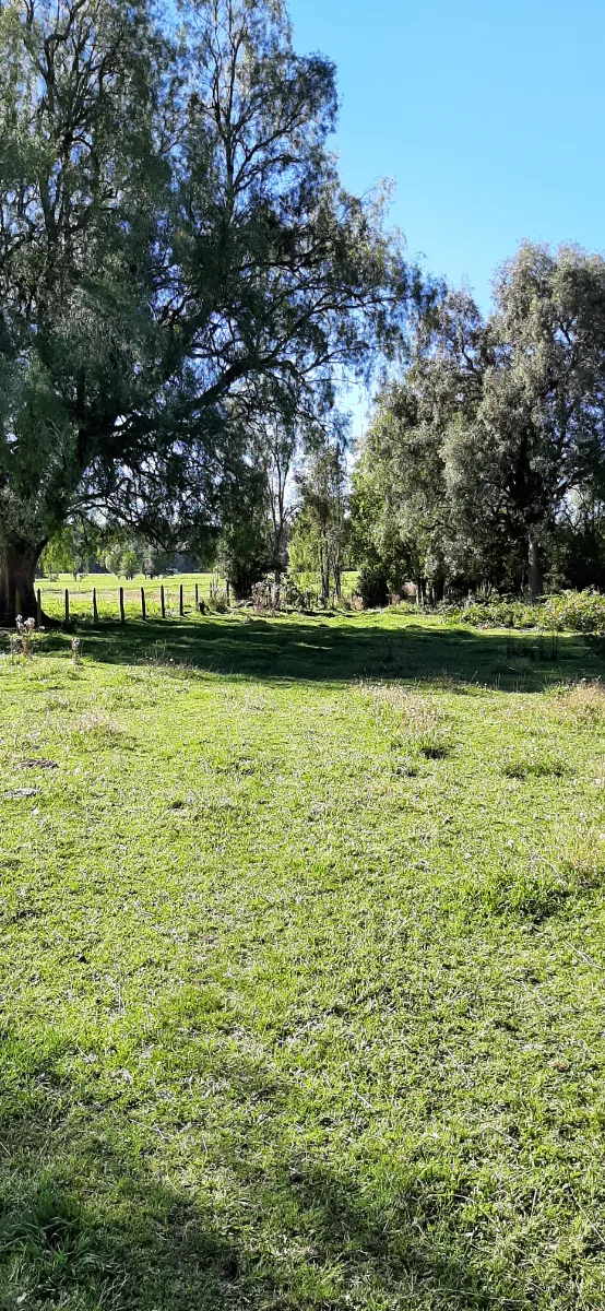Vista 2