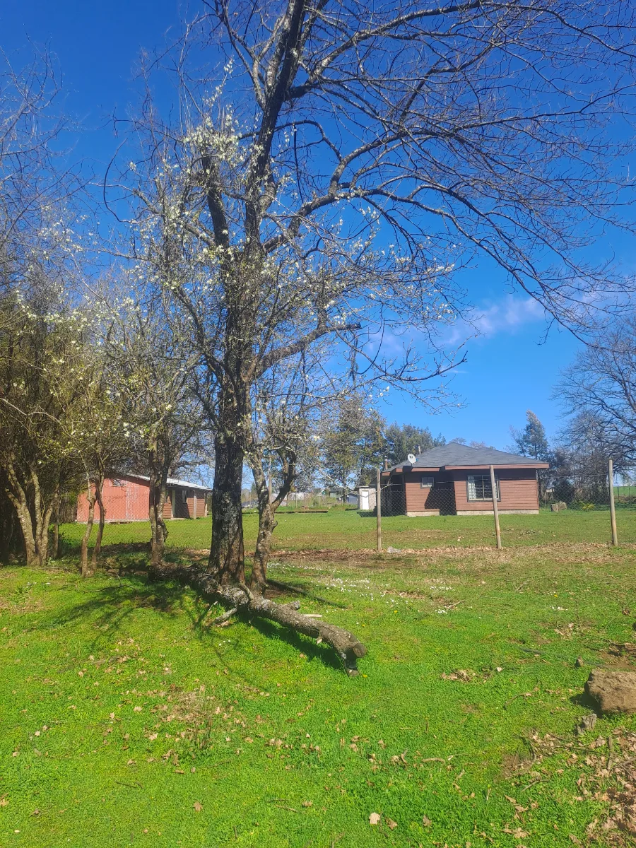 Hermosa Parcela de agrado con casa y piscina — foto 5