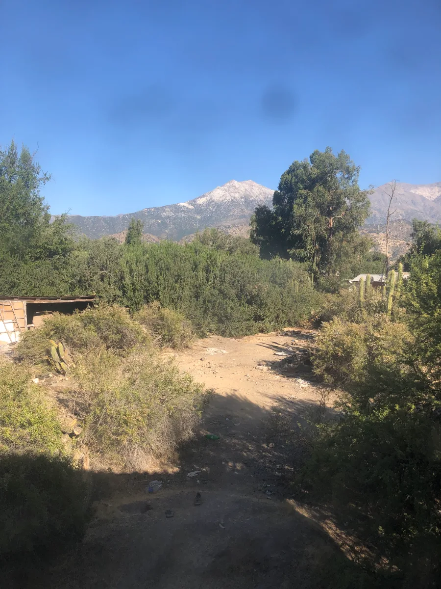 Vista 2