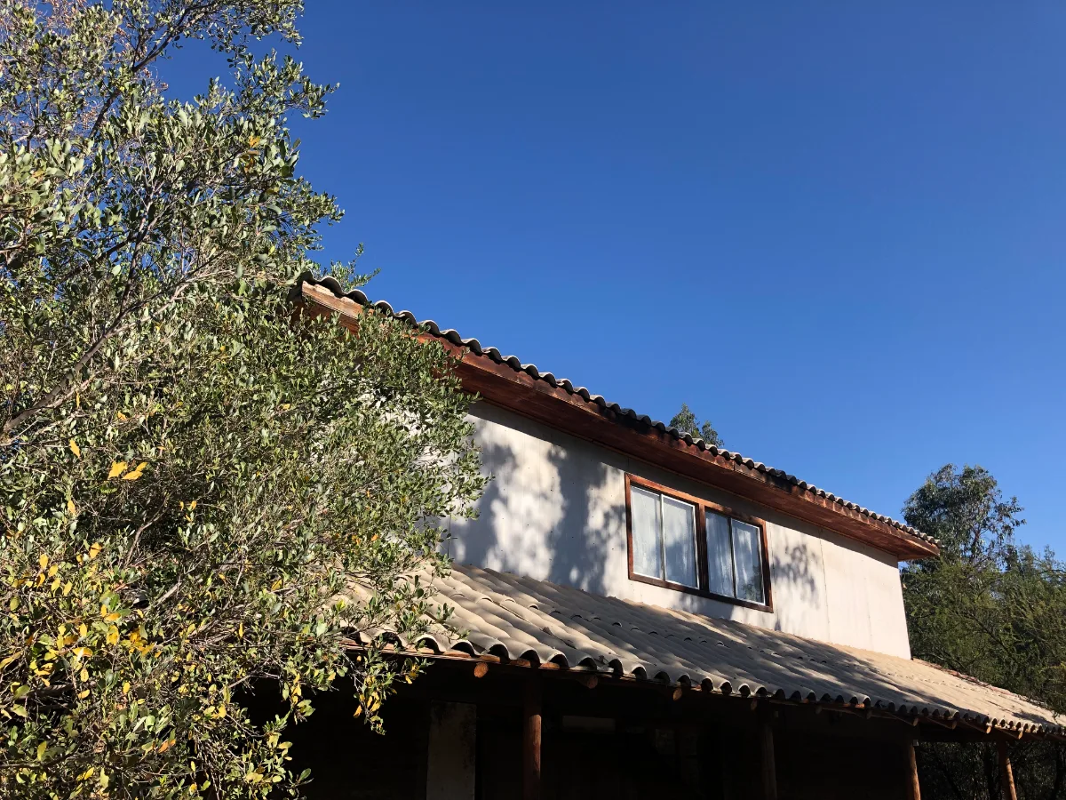 Gran terreno vende directamente su dueño, El Principal — foto 3