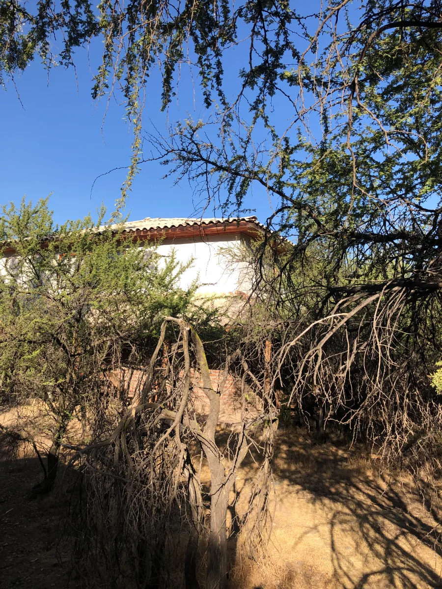 Gran terreno vende directamente su dueño, El Principal — foto 4