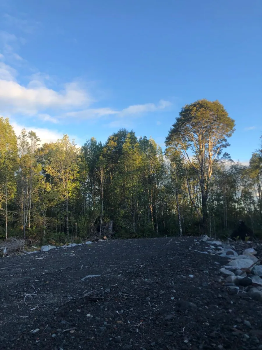 Parcelas en el Sur: Naturaleza y Conectividad — foto 5
