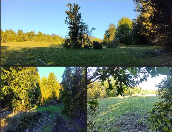 Parcelas en el Sur: Naturaleza y Conectividad