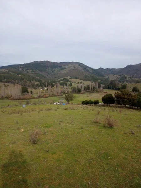 CAMPO LINDO 4 HECTÁREAS EN LOS SAUCES