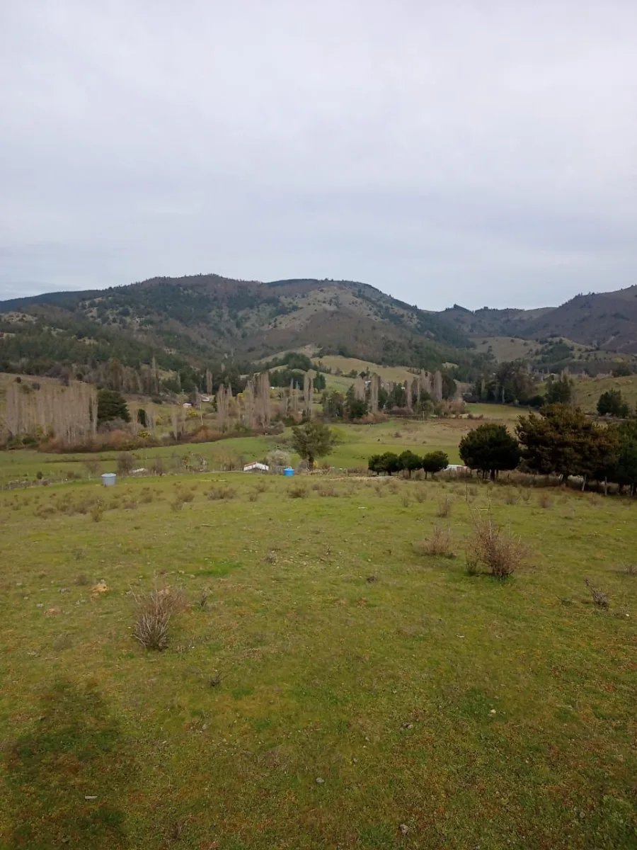 CAMPO LINDO 4 HECTÁREAS EN LOS SAUCES