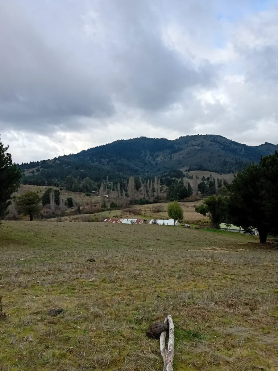 Vista 2