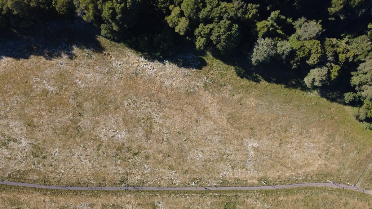 Parcela 97 en Loteo Paraíso Llaima, Ruta S31  — foto 3