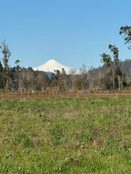 Los Avellanos - Gorbea