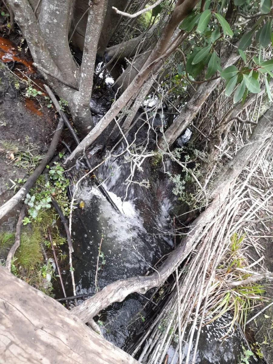 Hermosa parcela  en Angol   — foto 4