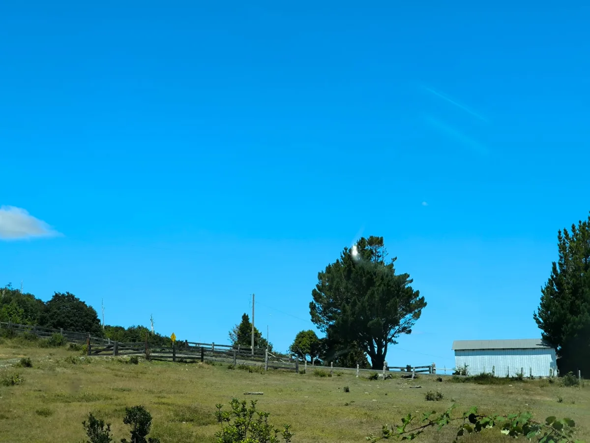 Parcela 7400 mts en Los Muermos — foto 2