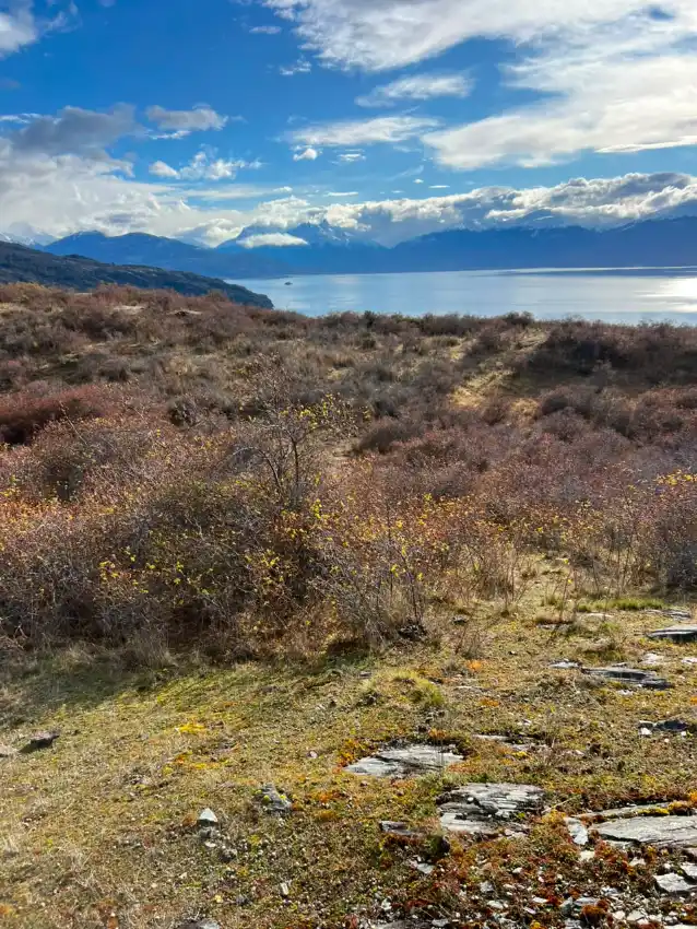 20.000 m² con vista al Lago y Campos de Hielo