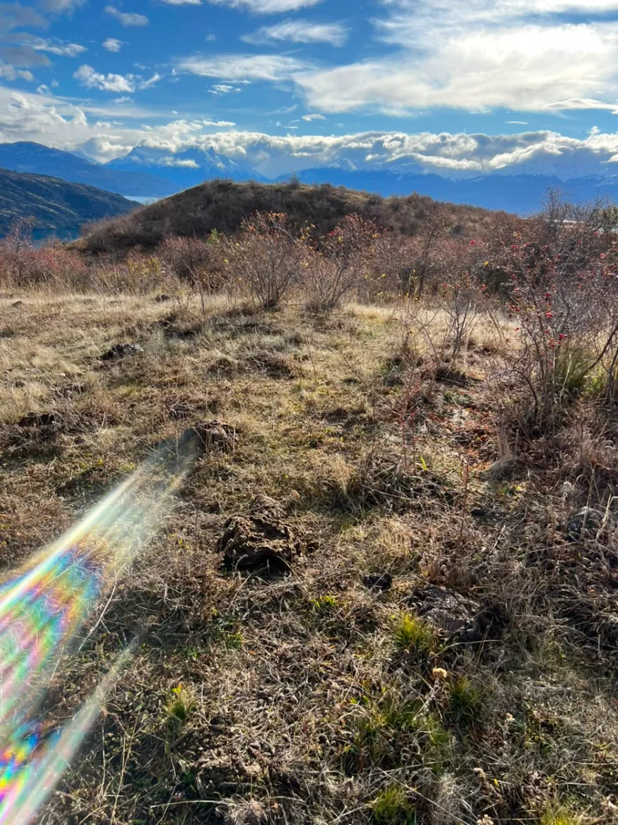 20.000 m² con vista al Lago y Campos de Hielo — foto 5