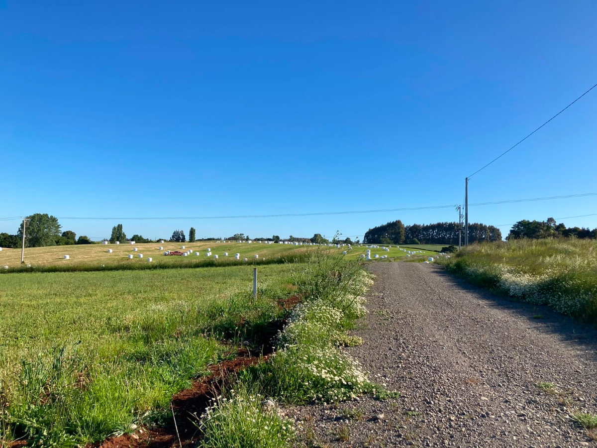 OPORTUNIDAD PARCELA 5.000 MTS2 CAMINO A TRUMAO, OSORNO — foto 3