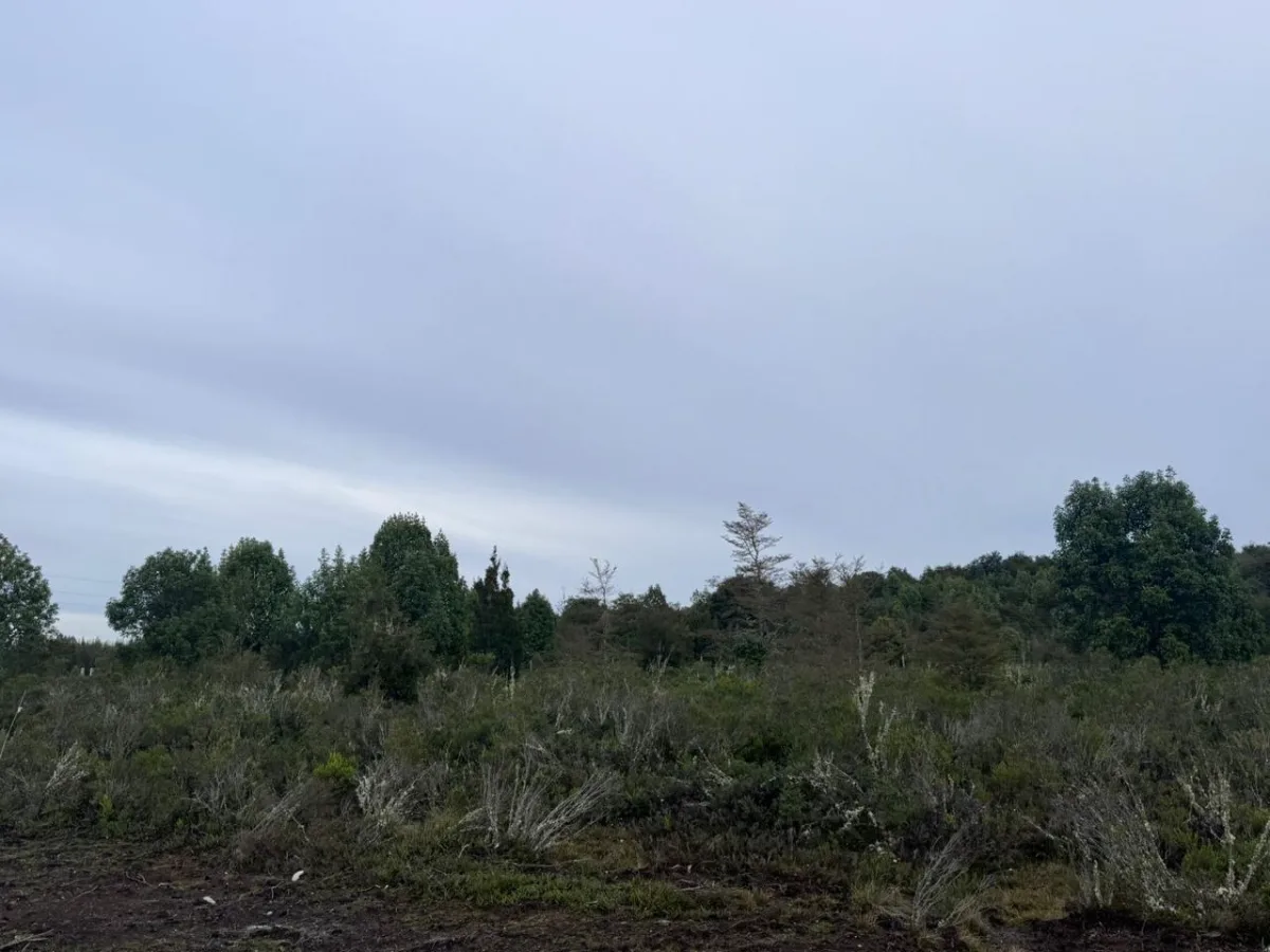Parcela 5000 mta cuadrados — foto 4