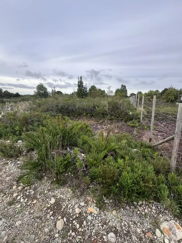 Parcela 5000 mta cuadrados