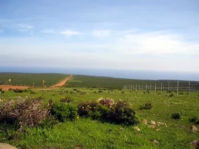 Parcela de agrado de 5.000 M2 en altura, frente al mar