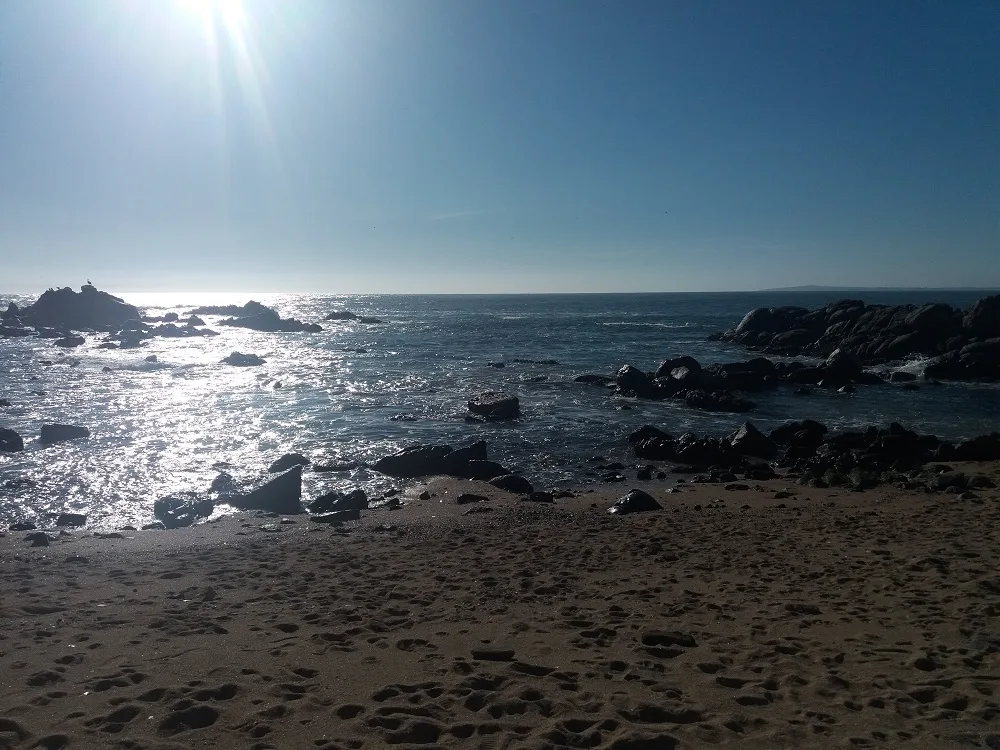 Parcela de agrado de 5.000 M2 en altura, frente al mar — foto 3