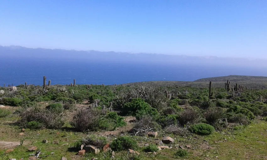 Parcela de agrado de 5.000 M2 en altura, frente al mar