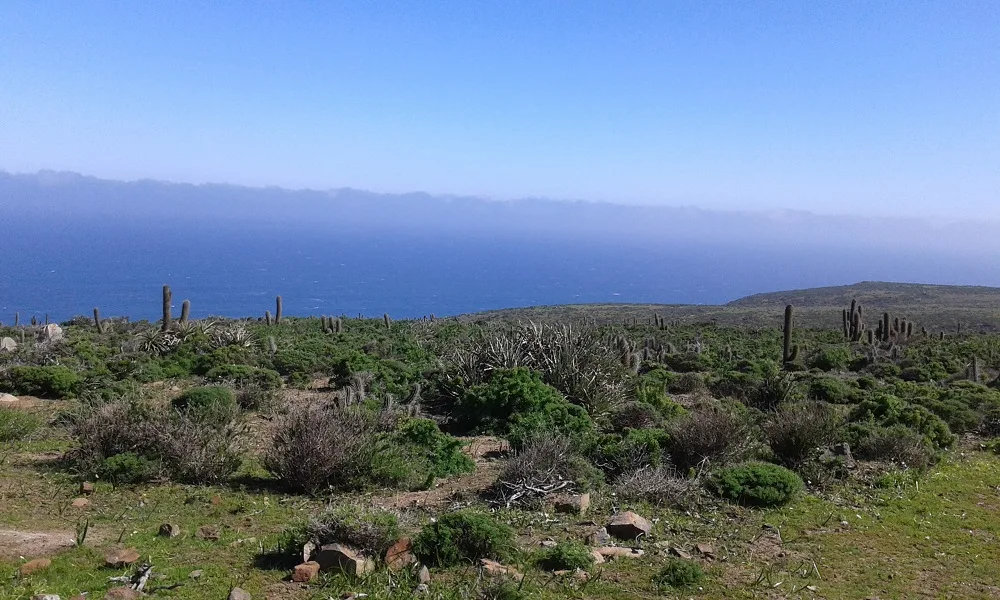 Parcela de agrado de 5.000 M2 en altura, frente al mar — foto 4