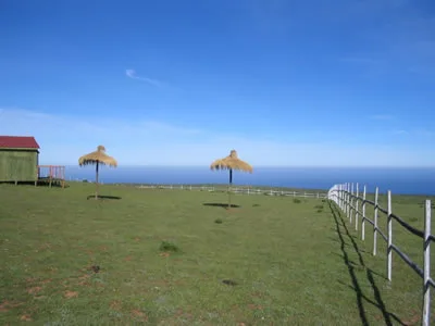 Parcela de agrado de 5.000 M2 en altura, frente al mar — foto 5