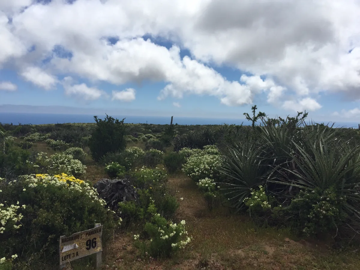 Parcela de agrado de 5.000 M2 en altura, frente al mar — foto 2