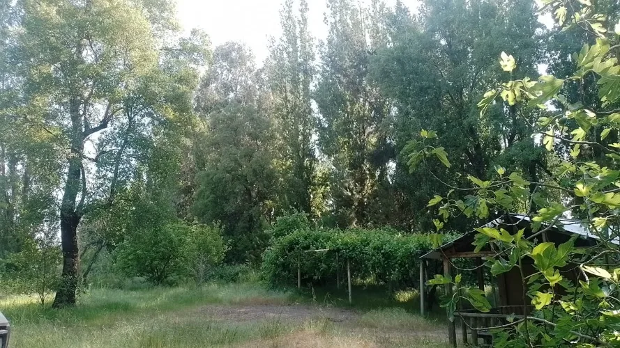Parcela 1 Hectárea con Casa y Acceso a Río/Estero — foto 2