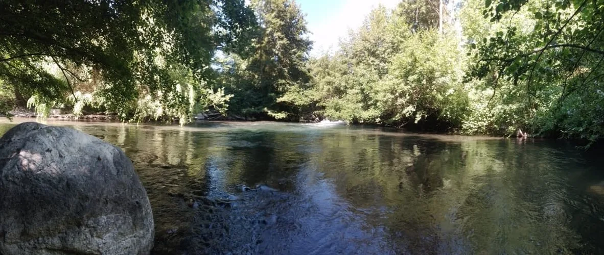 Parcela 1 Hectárea con Casa y Acceso a Río/Estero — foto 5