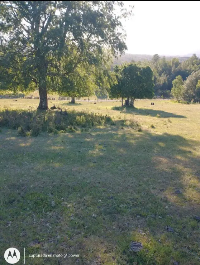 ¡PARCELAS DE 6.100 M² EN VENTA CERCA DE LA UNIÓN!