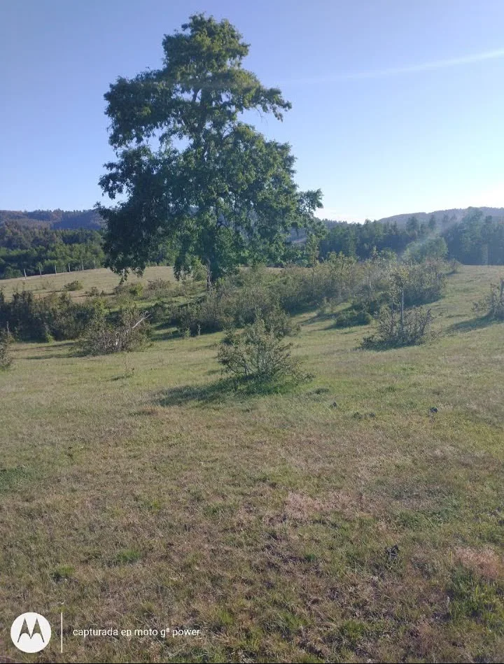 ¡PARCELAS DE 6.100 M² EN VENTA CERCA DE LA UNIÓN! — foto 2