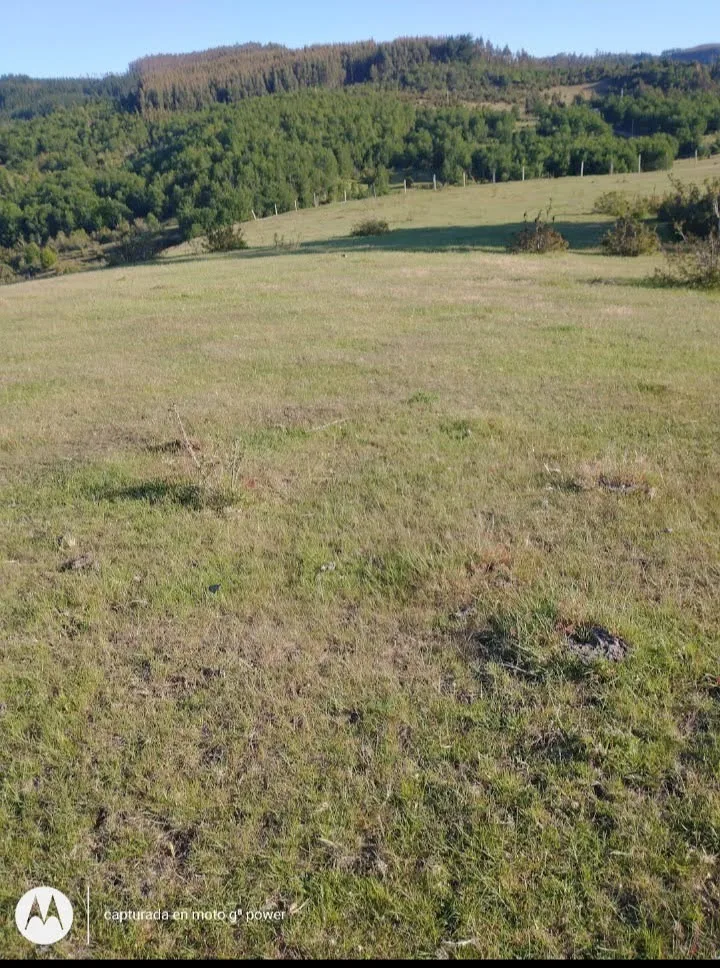 ¡PARCELAS DE 6.100 M² EN VENTA CERCA DE LA UNIÓN! — foto 3