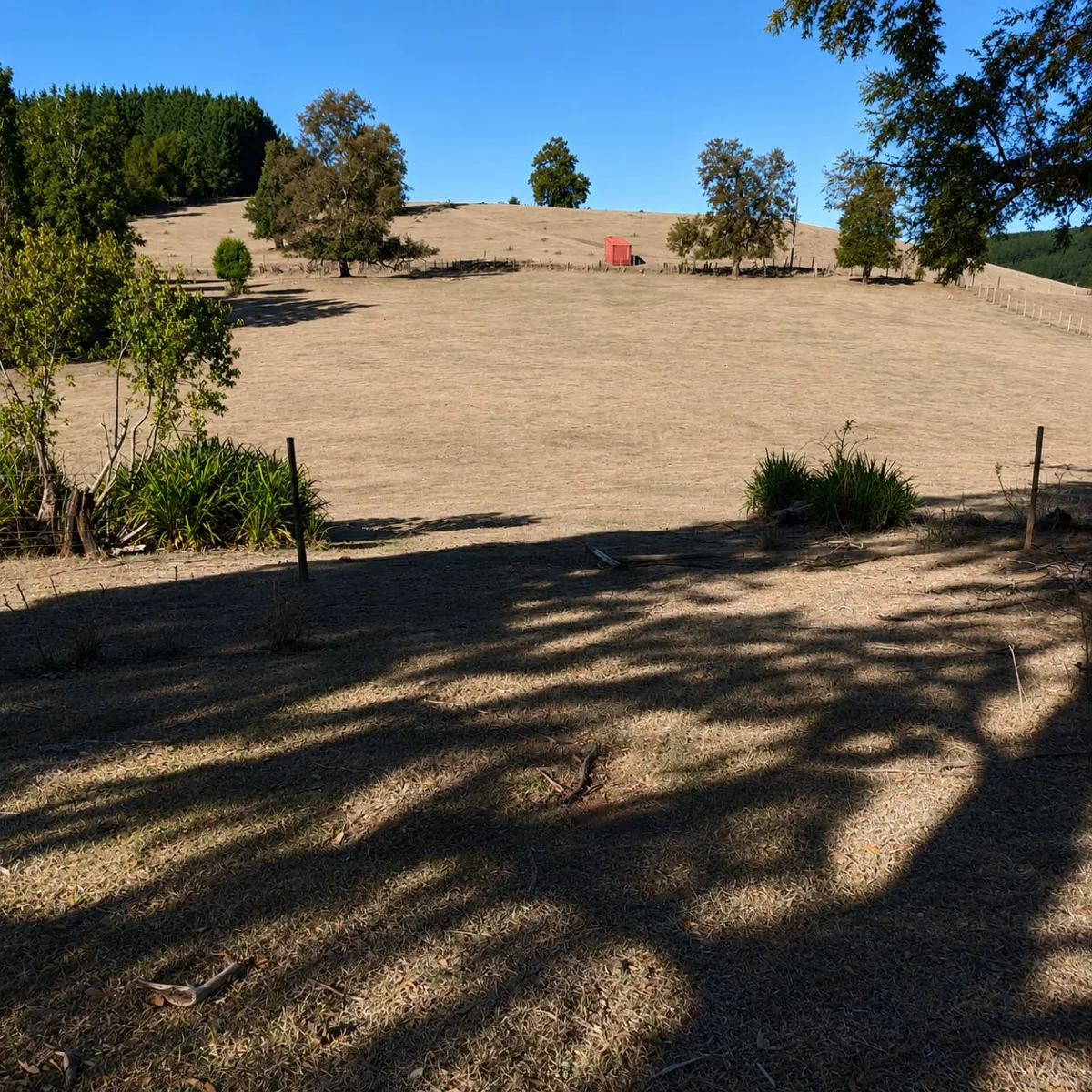 ¡PARCELAS DE 6.100 M² EN VENTA CERCA DE LA UNIÓN! — foto 4