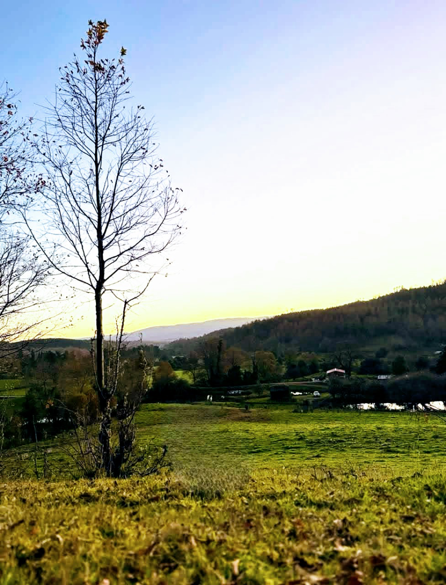Parcelas 5.000m2 con agua en región de Los Lagos  — foto 3