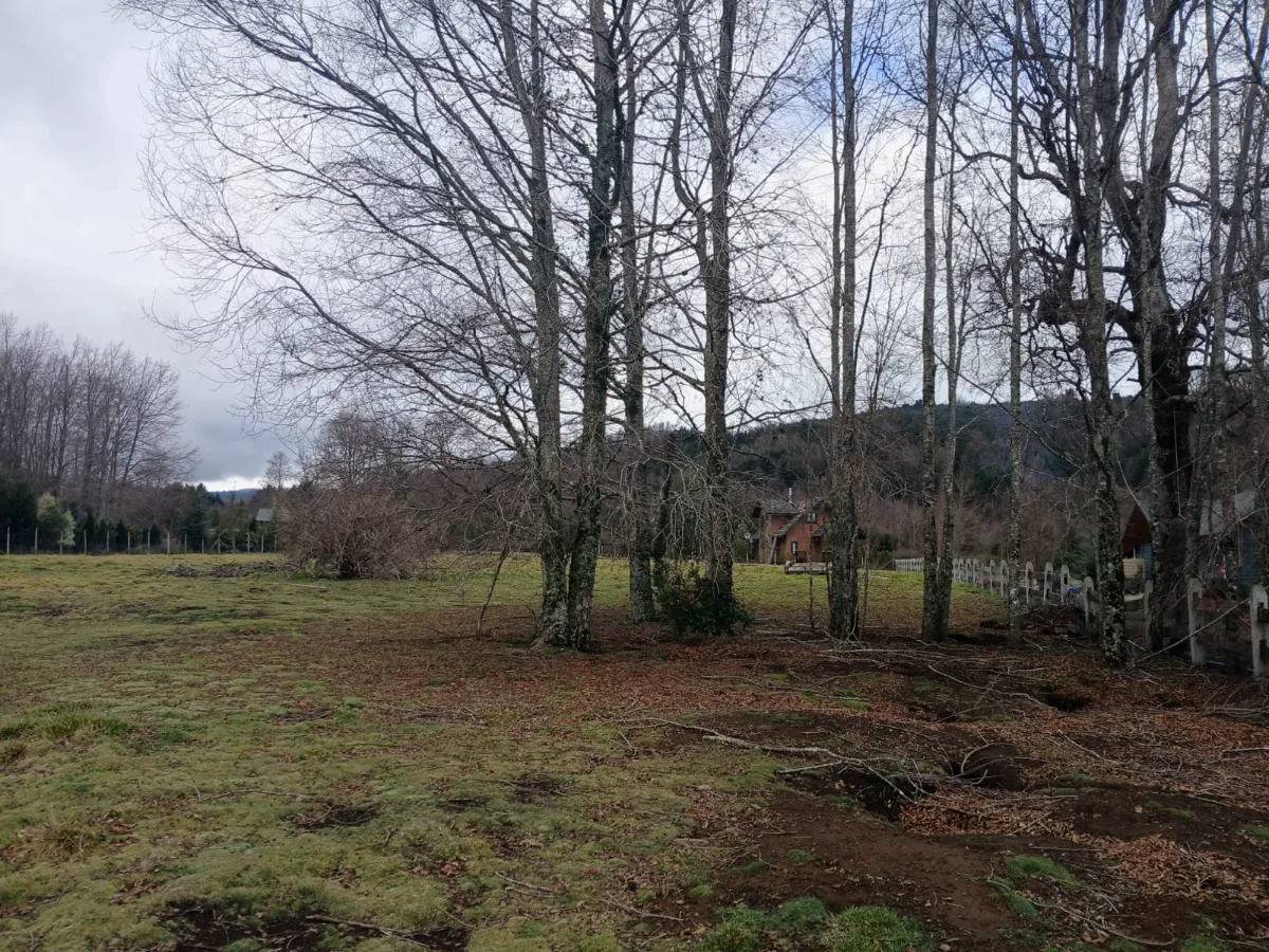 Parcela con vista al volcan, loteo consolidado. — foto 5
