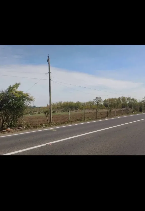 PARCELAS DE 5000M2 La Quinta sur Longavi 