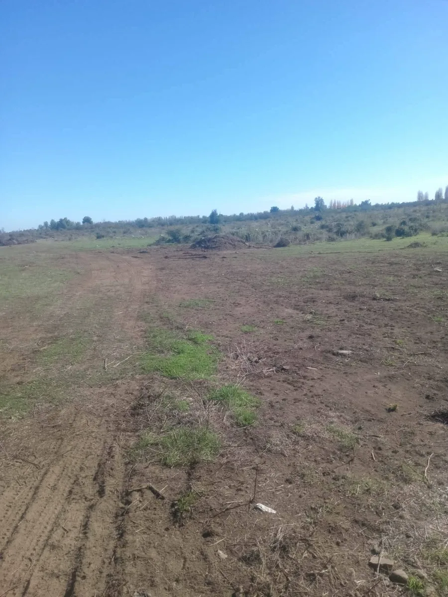 PARCELAS DE 5000M2 La Quinta sur Longavi  — foto 2