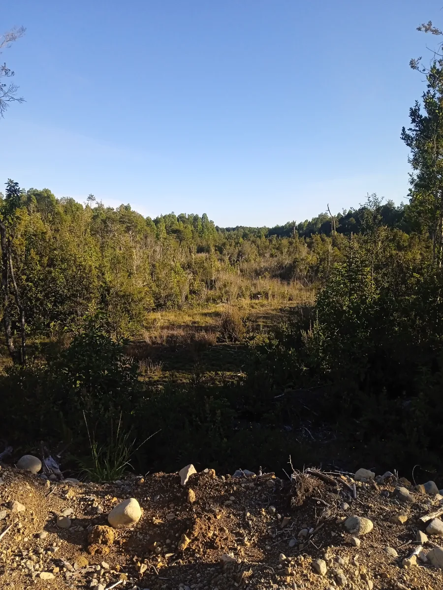 Parcelas de 5.000m² colonia tres puentes   — foto 3